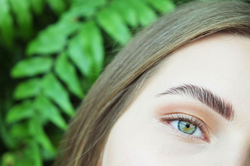 Eyebrow Lamination