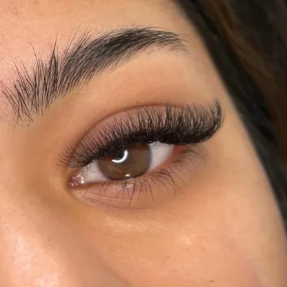 aubs eyelash extension course 2 1