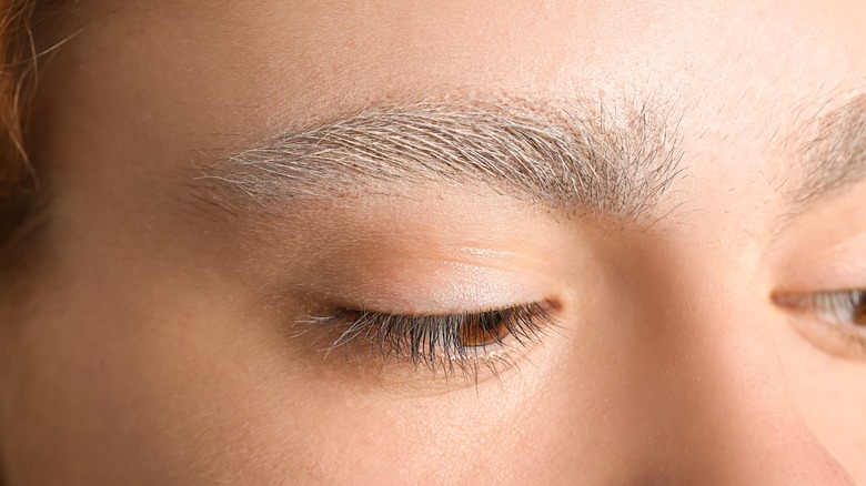 teenage,boy,with,dyed,eyebrows,,closeup